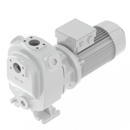 Blockpumpe BS 40 - KNOLL Maschinenbau GmbH